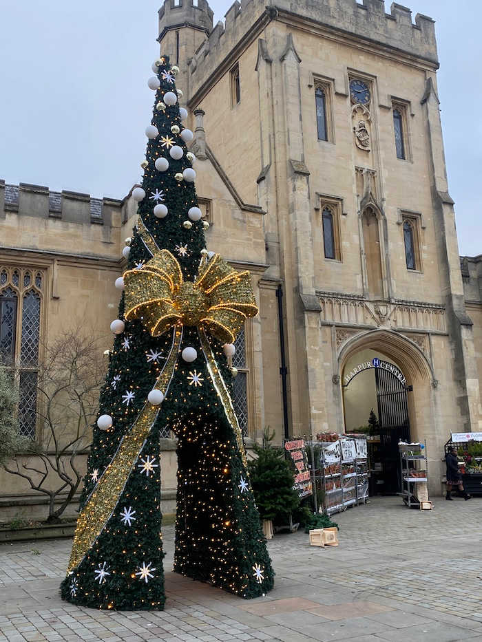 Christmas tree in Harpur Square in front of the Harpur Shopping Centre/