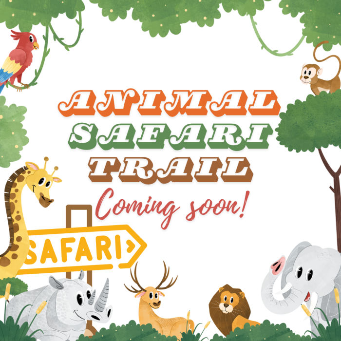 Animal Safari Day Image with an elephant a lion, monkey and parrot.