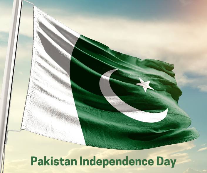 Pakistan Independence day flag in green and white