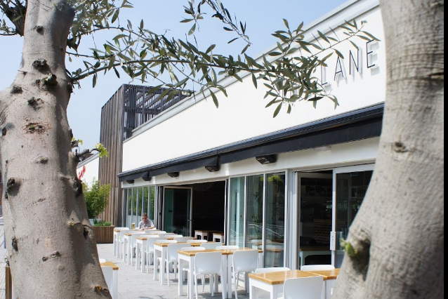 The Lane outdoor seating with white chairs, wooden tables and an olive tree