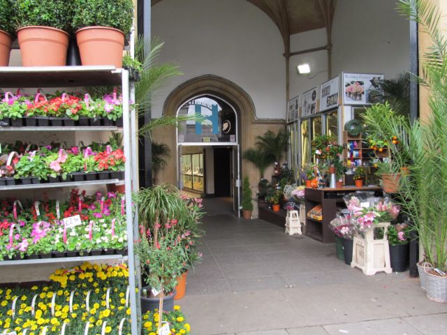 Variety of coloured flowers and plants potted and standing on floor and metal shelving. Path through to Harpur Centre in middle.