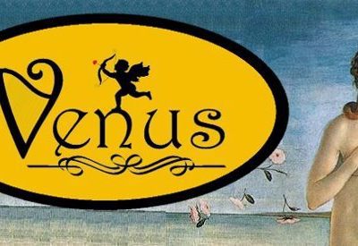 Venus Hair & Beauty