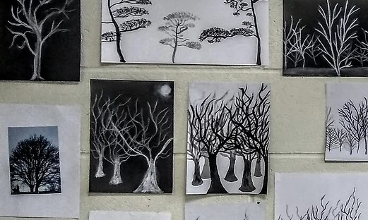Creative Days black and white drawings of trees