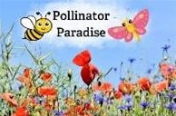 Pollinator Paradise cartoon with flowers, butterflies and bees