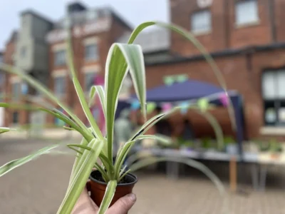 Bedford Borough Council celebrates Great Big Green Week 2025