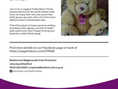 Teddy Bears Picnic