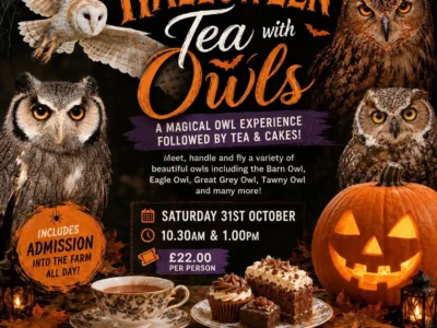 Halloween Tea with Owls